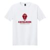 100 T-shirts From $361 Thumbnail