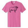100pc shirt cotton Thumbnail