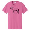 100pc shirt cotton Thumbnail