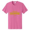 100 shirt cotton Thumbnail