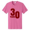100 shirt cotton Thumbnail
